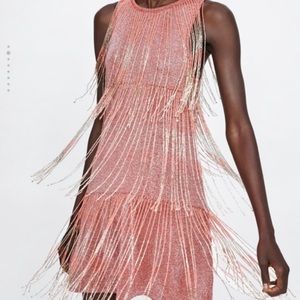 Zara Pink and Silver Fringe Mini Dress